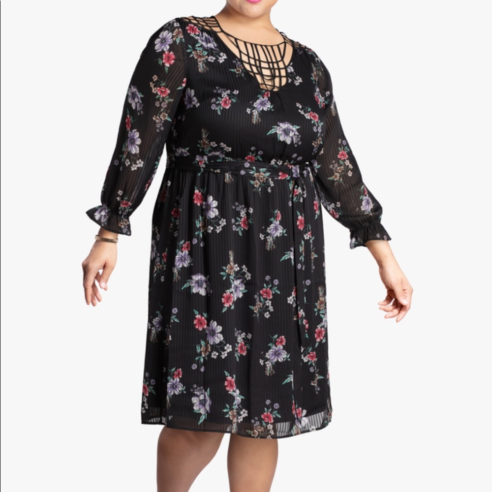 NWT Daniel Rainn Pleated Dress